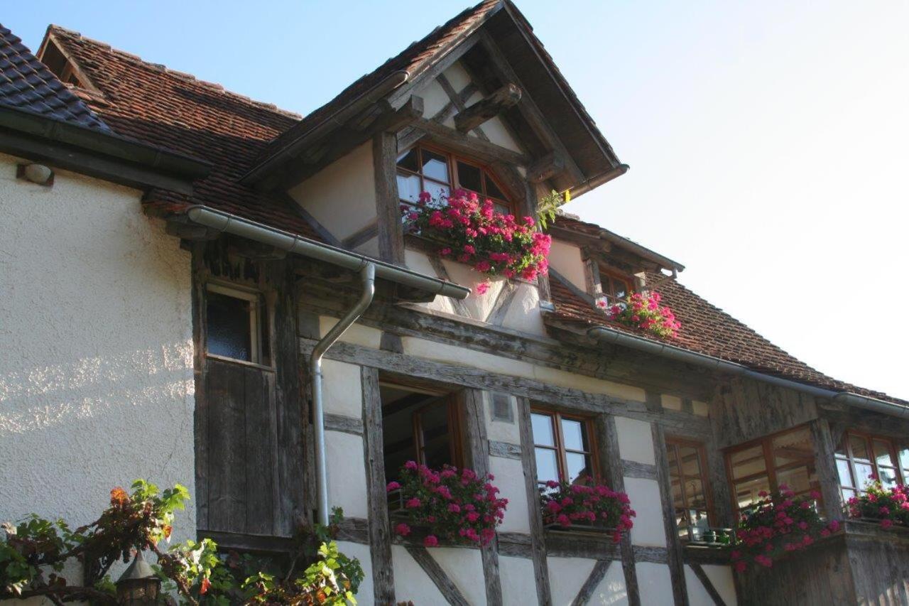 Hotel Gaestehaus Theresia Garni Muhlheim an der Donau Exterior foto