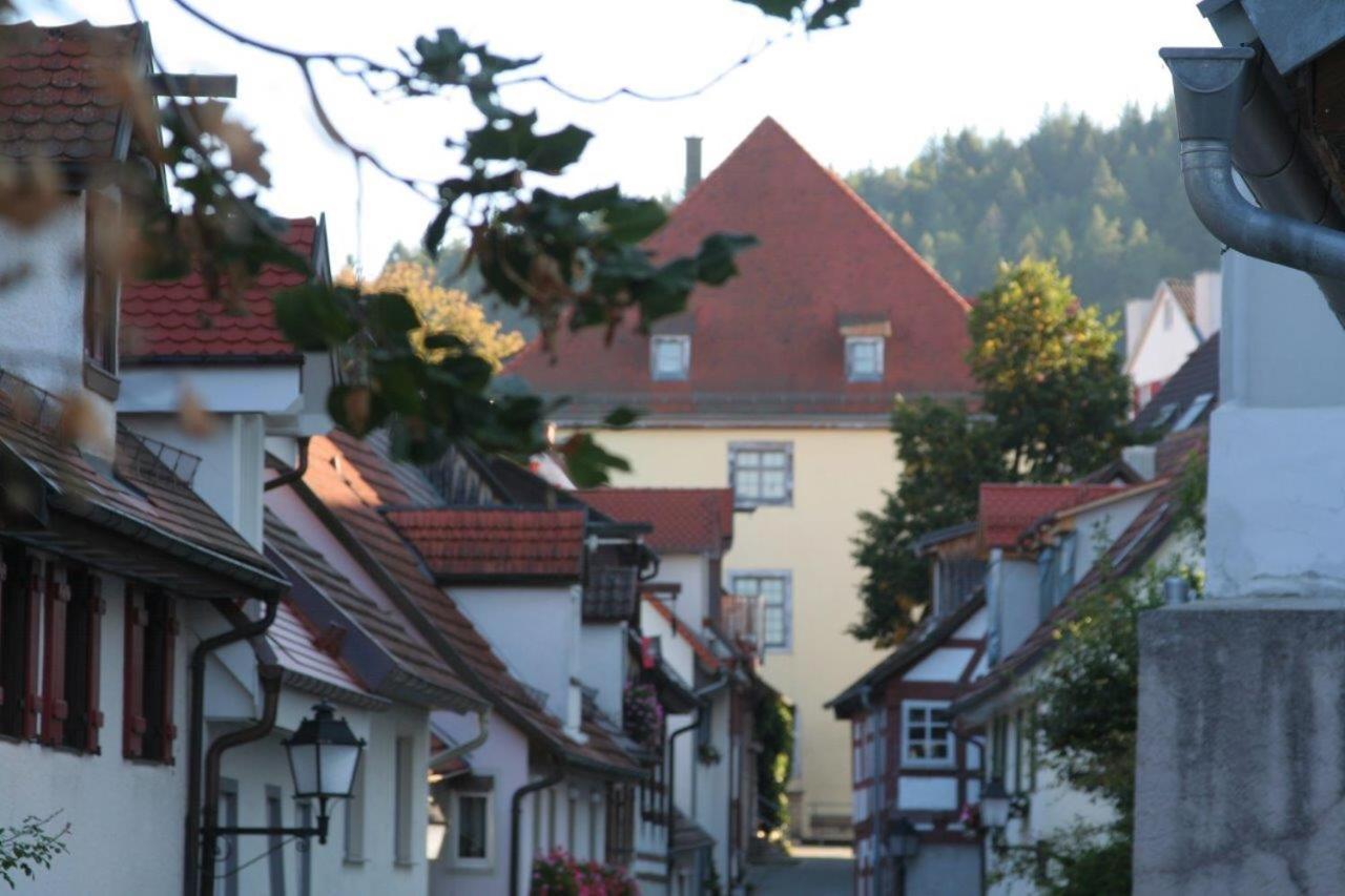 Hotel Gaestehaus Theresia Garni Muhlheim an der Donau Exterior foto