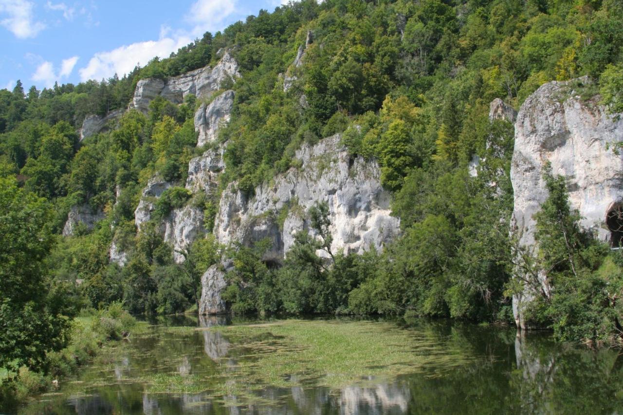 Hotel Gaestehaus Theresia Garni Muhlheim an der Donau Exterior foto